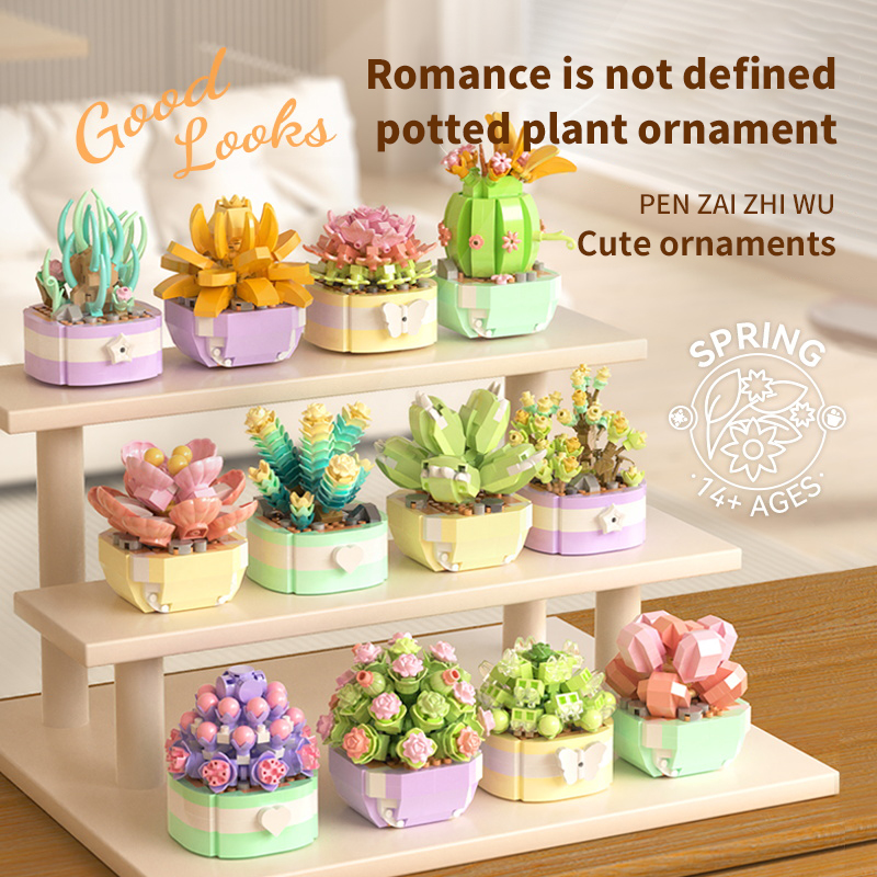 Highly Anticipated New Product- The Succulent Plant Building Block Set