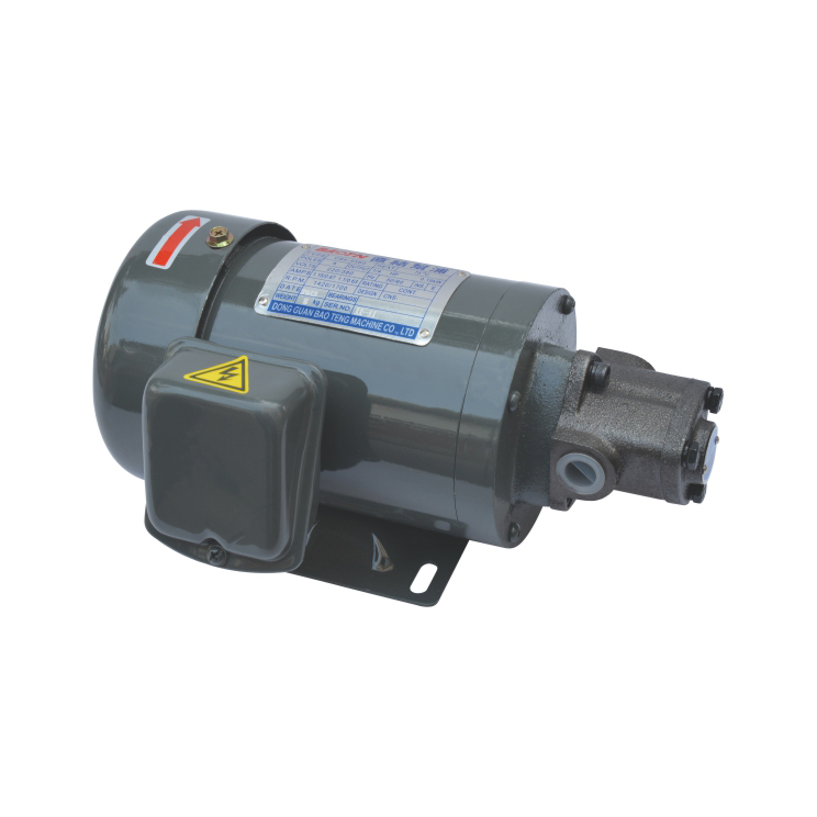Wholesale Price China Oil Gear Pump - MTM-Z(Direct plug) Iron shell direct link motor – Baoteng