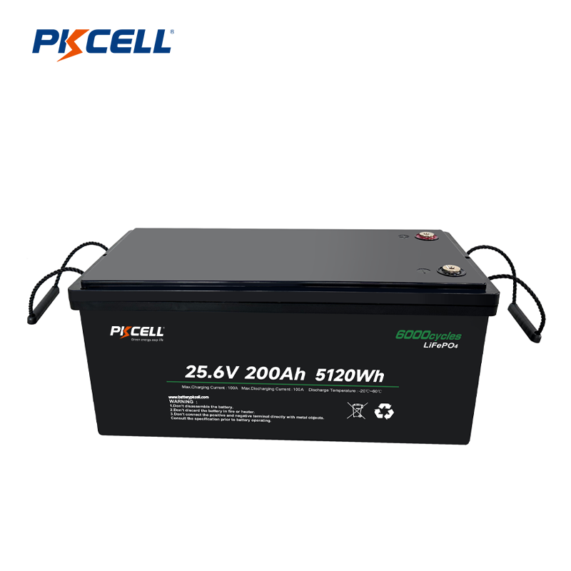 Pemasok Paket Baterai LiFePo4 PKCELL 25V 200Ah 5120Wh