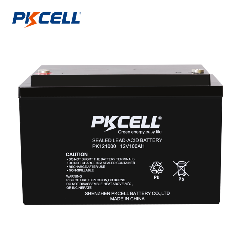 Доставчик на оловно-киселинна батерия PKCELL 12V 100AH