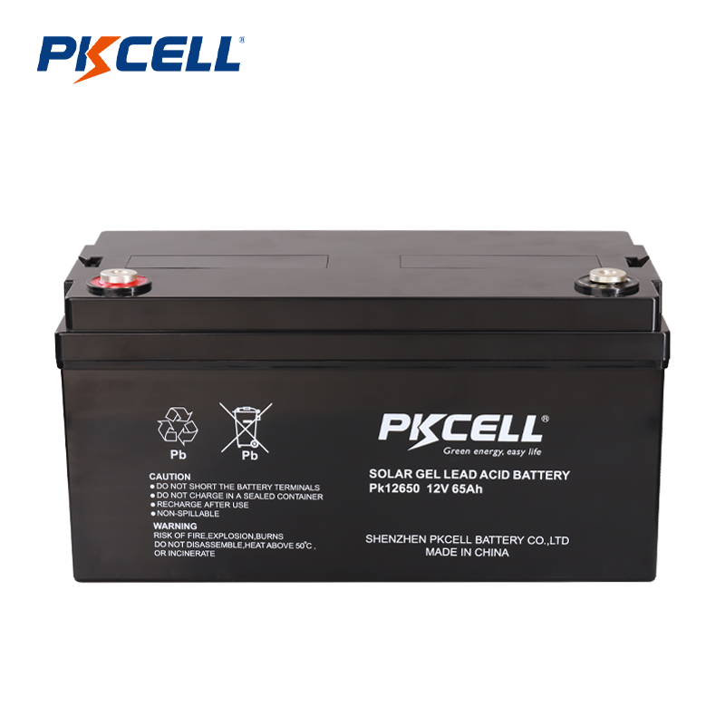 Fornecedor de bateria de chumbo-ácido PKCELL 12V 65AH