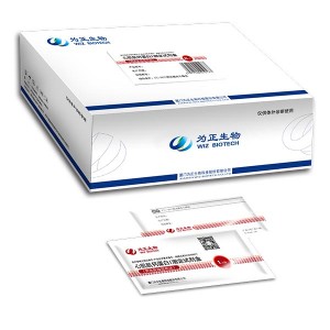 Factory wholesale Hcg Pregnancy Test Kit Midstream - Diagnostic Kit for Antigen to Helicobacter Pylori  (Fluorescence Immunochromatographic Assay) – Baysen
