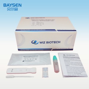 PriceList for China H. Pylori Antigen Rapid Test Best Diagnostic Test for H Pylori