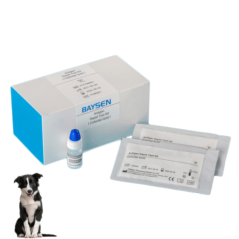 Reasonable price T3 Test Kit - Canine Distemper Virus CDV Antigen Rapid Test Kit – Baysen