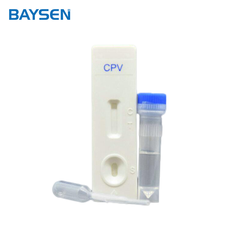 Fast delivery Auto Biochemistry Analyzer - high quality veterinary CDV Rapid test Canine – Baysen