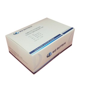 procalcitonin rapid Test Kit Labo Test Apparater POCT Reagent