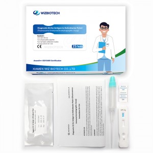 Diagnostyske kit foar Antibody tsjin Helicobacter Pylori