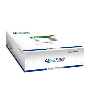 Factory Promotional C-reactive Protein Test - Diagnostic Kit（Colloidal Gold）for Human Chorionic Gonadotrophin – Baysen
