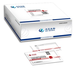OEM China Home Rapid Diagnostic Test Kit Chlamydia - Diagnostic Kit for Antibody to Helicobacter Pylori(Fluorescence Immunochromatographic Assay) – Baysen