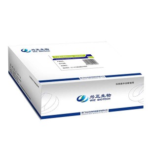 Factory making Rapid Test Strips Mp - Diagnostic Kit（Colloidal Gold）for Calprotectin – Baysen