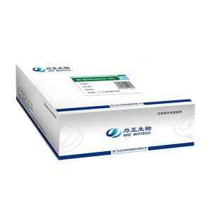 Reasonable price for Chlamydia Pneumoniae Rapid Test - Diagnostic Kit（LATEX）for Antigen to Helicobacter Pylori – Baysen