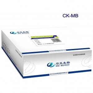 Wholesale Price Human Test Kit - Diagnostic Kit for Isoenzyme MB of Creatine Kinase(fluorescence immunochromatographic assay) – Baysen