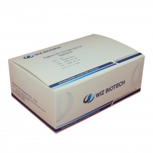 Kit de diagnostic précis de la Chine pour le dispositif de cassette du kit de test rapide Calprotectin CAL