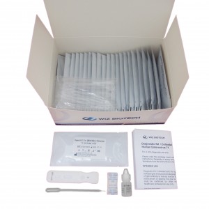 Diagnostic kit for Antigen to Respiratory Syncytial Virus Colloidal Gold