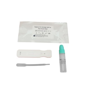 Newly Arrival Rapid Chlamydia Test Kits - Diagnostic Kit for Fecal Occult Blood(Fluorescence Immunochromatographic Assay – Baysen