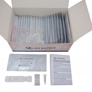 Best Price on Disposable Diagnostic Kit - Diagnostic Kit for Antibody to Helicobacter Pylori(Fluorescence Immunochromatographic Assay) – Baysen