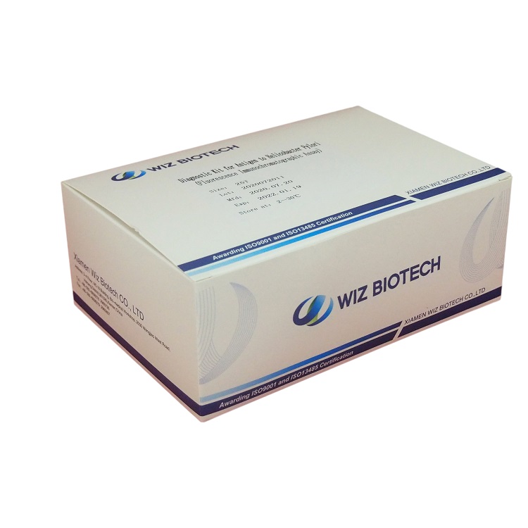 Hot sale Colloidal Gold Rapid Hcg Pregnancy Test - Diagnostic Kit for Antigen to Helicobacter Pylori  (Fluorescence Immunochromatographic Assay) – Baysen