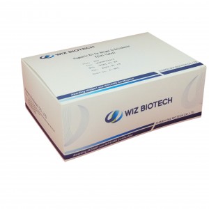 Diagnostic kit for Antigen to Respiratory Syncytial Virus Colloidal Gold