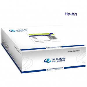 8 Year Exporter Hiv Rapid Diagnostic Test Kit - Diagnostic Kit（LATEX）for Antigen to Helicobacter Pylori – Baysen