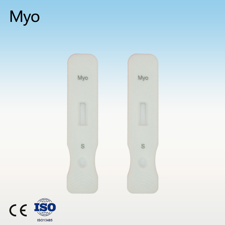 Good Quality Accurate/rapid Women Lh Ovulation Rapid Midstream - Myoglobin rapid test kit myo diagnostic kit – Baysen