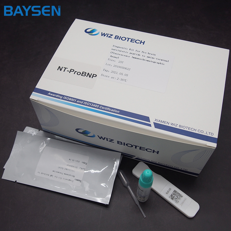 OEM/ODM Manufacturer Fat Analyzer Machine - Cardiovascular Diagnostic Kit-NT-proBNP – Baysen