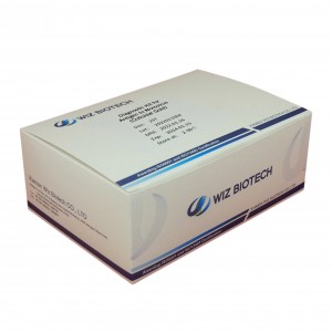 Wholesale Diagnostic kit for Antigen to Norovirus Colloidal Gold