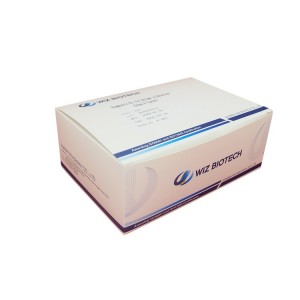 OEM Supply H.pylori Blood Rapid Test Kits - Diagnostic Kit（LATEX）for Rotavirus Group A – Baysen