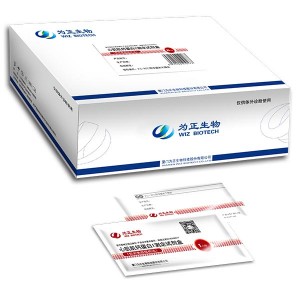 New Delivery for Hiv Hcv Toxo Syphilis - Diagnostic Kit for Isoenzyme MB of Creatine Kinase(fluorescence immunochromatographic assay) – Baysen