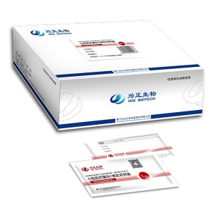 Europe style for Premium Brand Home Psa Test - Diagnostic Kit for D-Dimer (fluorescence immunochromatographic assay) – Baysen