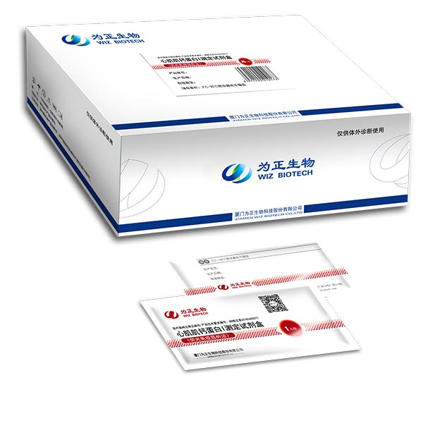 China wholesale Thyroid Stimulating Hormone Test Strip Card - Diagnostic Kit for Human Chorionic Gonadotropin(fluorescence immunochromatographic assay) – Baysen