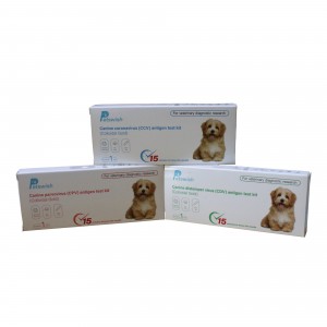 Kit per test rapido dell'antigene CDV del virus del cimurro canino