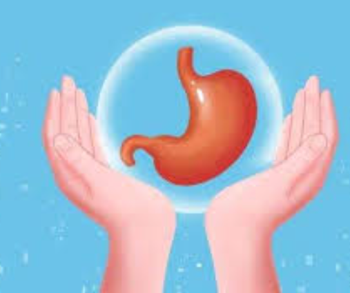 Wir feiern den Internationalen Tag des Magen-Darm-Trakts: Tipps für ein gesundes Verdauungssystem