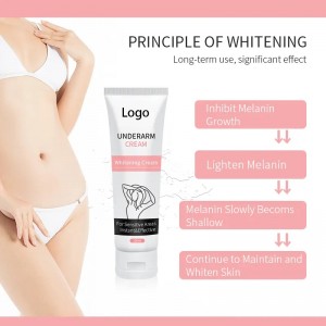 Professional China OEM Private Label Whitening Anti-Wrinkle Face Cream with Factory Price