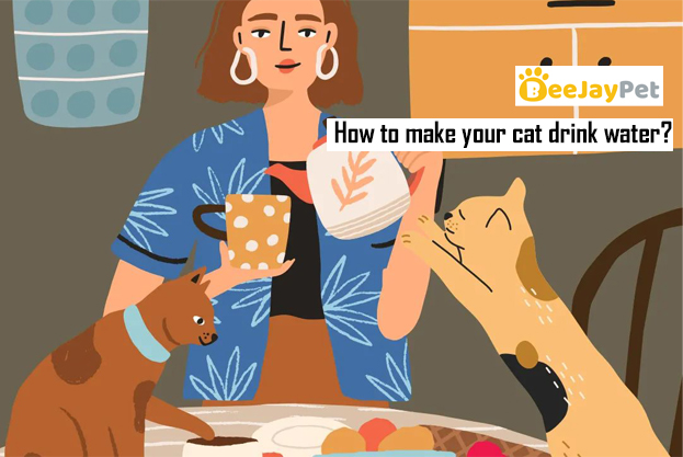 Како да ја натерате вашата мачка да пие вода?