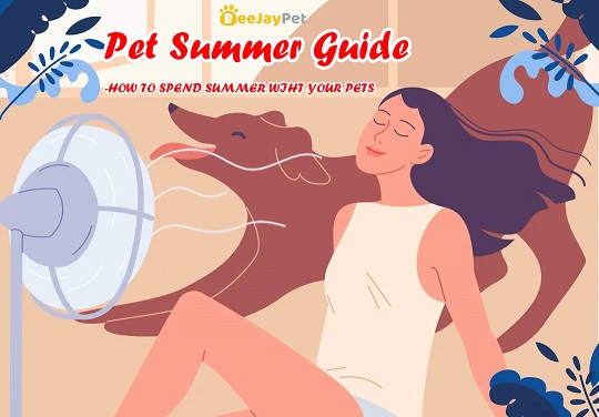 Pet Summer Guide