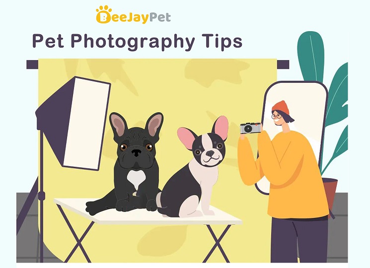 Mga Tip sa Pet Photography