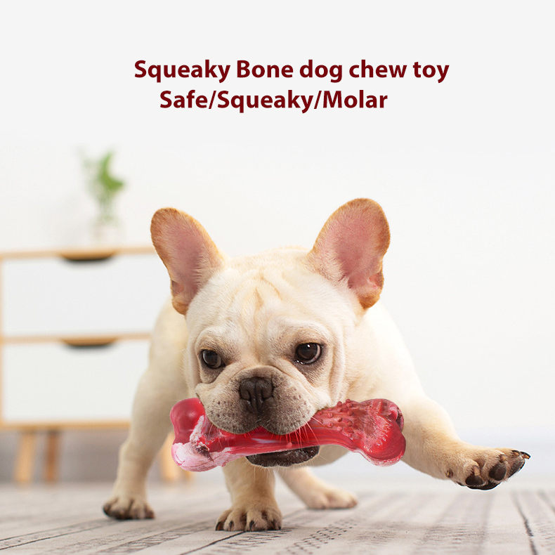 Karet TPR Bone Shape indestructible Dog Chew Toy