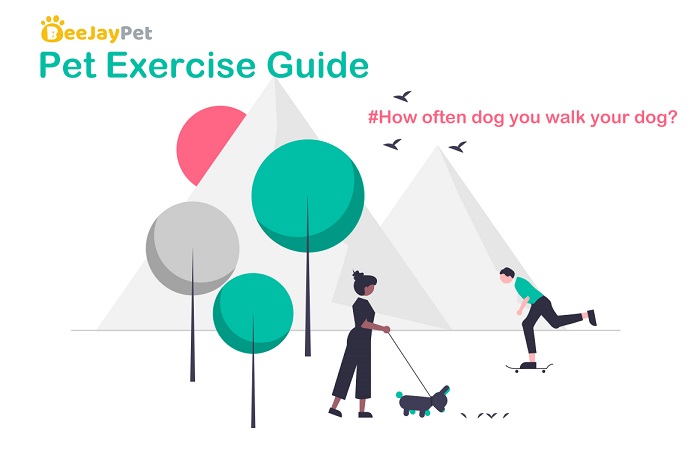 Pet Guide Exercise
