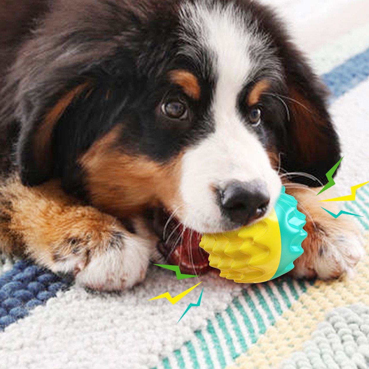 Brinquedos aquáticos de verão para treinamento de cães com vocalização estridente de bola TPR
