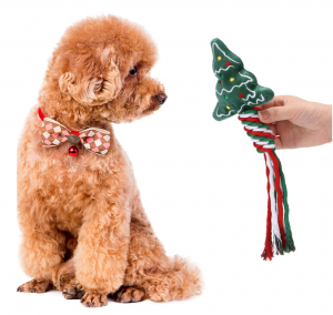 Desain khusus kanggo Rope Dog Chew Toy karo TPR Ball, Pet Chewing Toy kanggo Untu