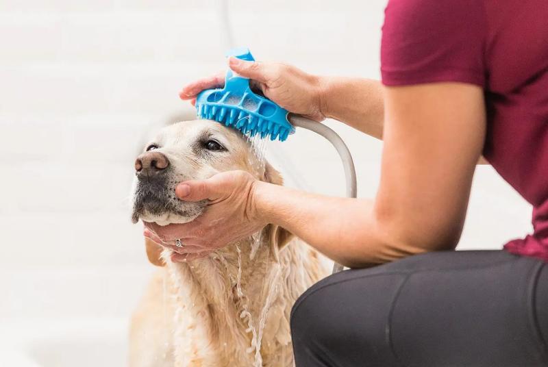 How to Bath For Your Pets？