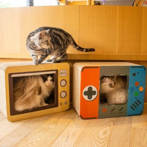 Cardboard Cat Veşêre Mala Lîstinê bi Scratcher