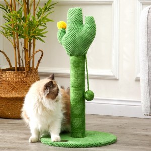 Gato de sisal trepando no cactus con bola