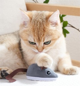 Certyfikat CE Tc-5123 Zabawna zabawa z kolorowymi pluszowymi piórkami i mini myszką dla kota