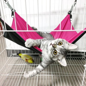 Indoor Durable Simple Hanging Cat Hammock