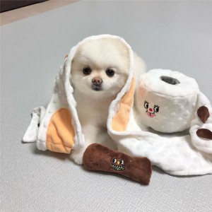 Pata & Batla Toilet Paper Dog Toys ka Squeak