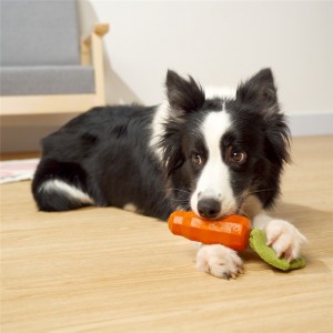 Popust na veliko Maloprodaja OEM Factory Pet Dog Žvakanje Toy Četkica za zube Dental Chew Toy Treating Foodie Bone Shape