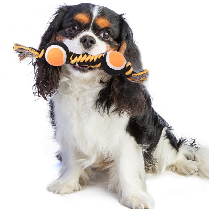 ગ્રાઇન્ડીંગ દાંત સફાઈ કૂતરો કાબૂમાં રાખવું ડબલ ટેનિસ બોલ ડોગ ટોય