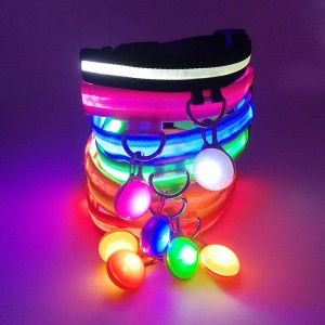 USB Rechargeable Light Up Puppy Collar