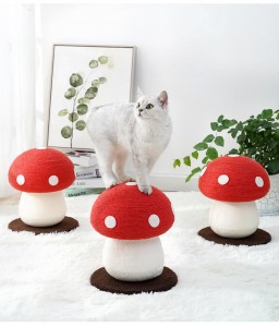 Gymnase de jungle de chat en forme de champignon rouge multifonctionnel